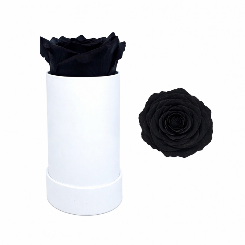Single White Rose Box with Infinity Rose Gift