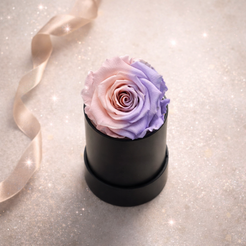 Single Rose Black Box with Infinity Rose Gift Set