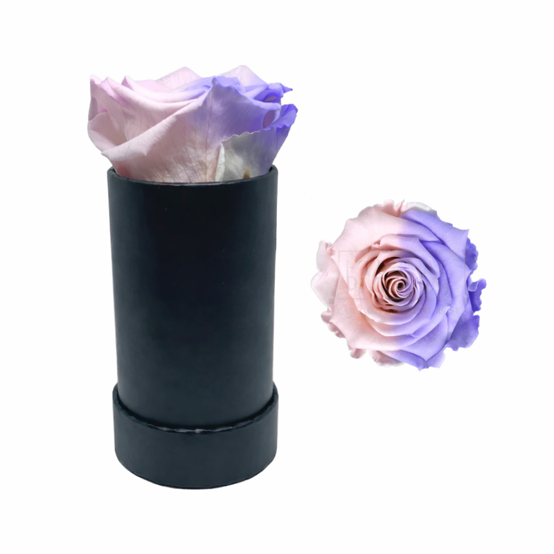 Single Rose Black Box with Infinity Rose Gift Set