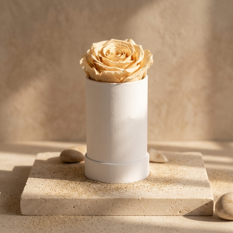 Single White Rose Box with Infinity Rose Gift