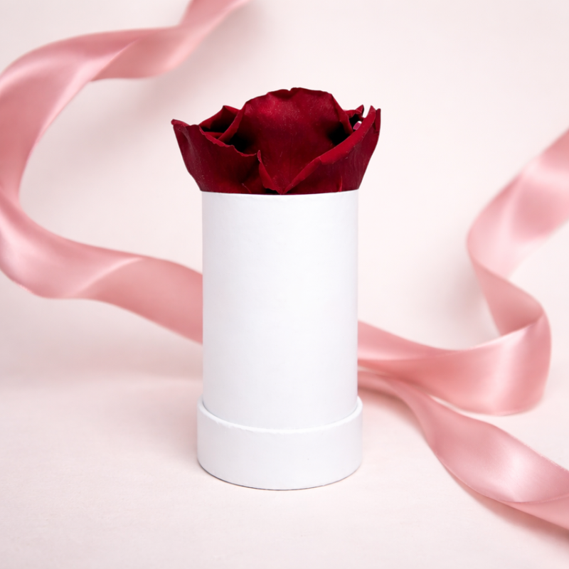 Single White Rose Box with Infinity Rose Gift