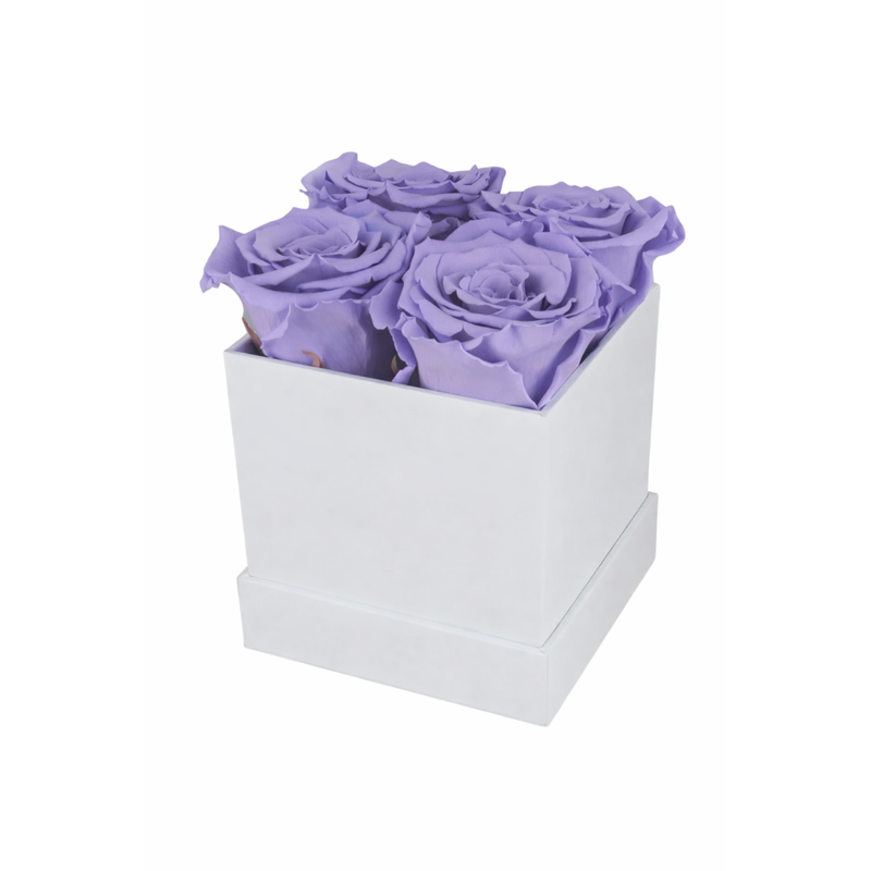 4 Rose White Box with Infinity Roses Luxury Gift