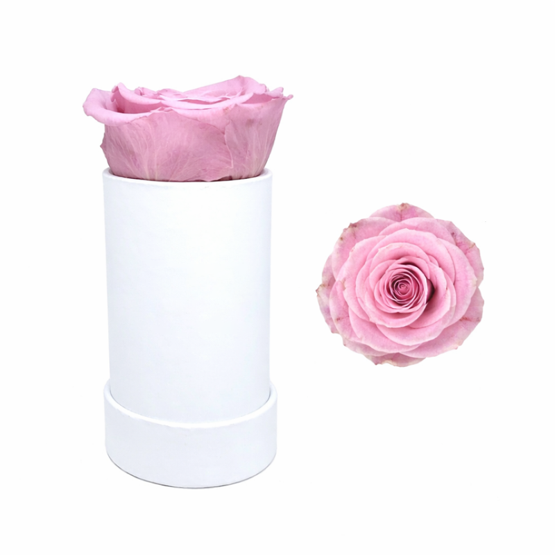 Single White Rose Box with Infinity Rose Gift
