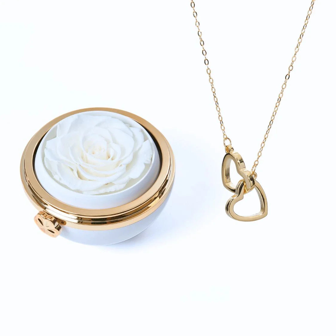 Eternal_Passion_Intertwined_Silver_Necklace_-_White_Gold_Silver