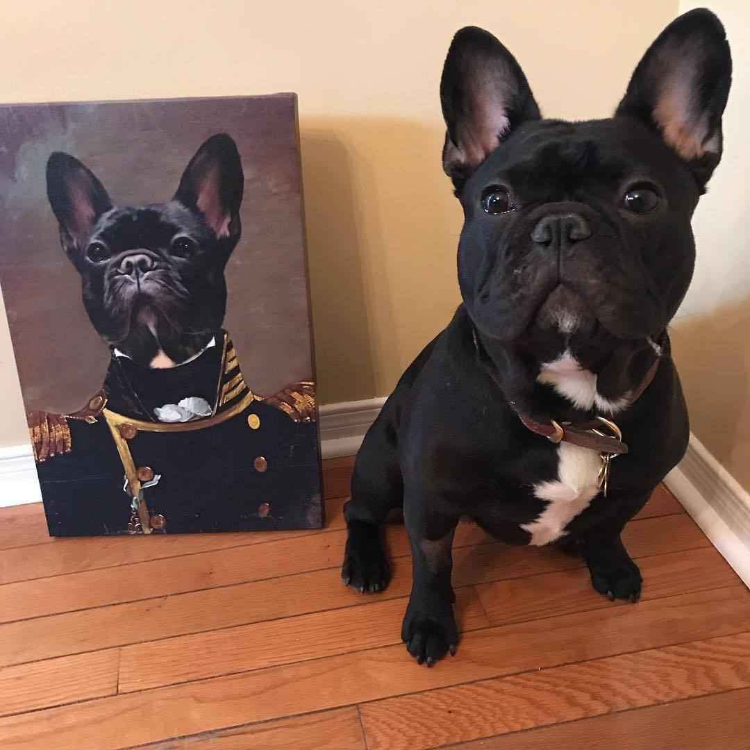 The Admiral - Custom Pet Canvas - CustomLove