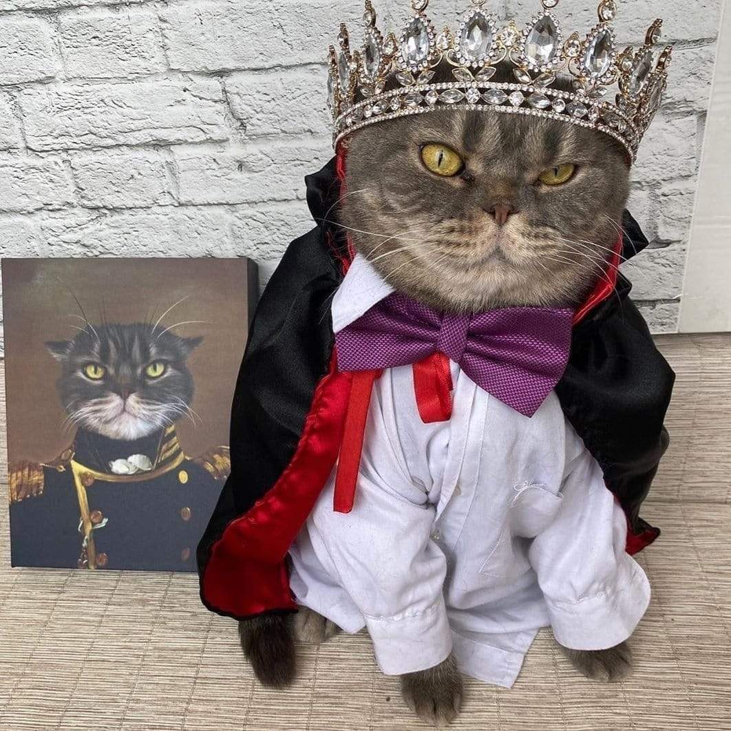 The Admiral - Custom Pet Canvas-CustomLove