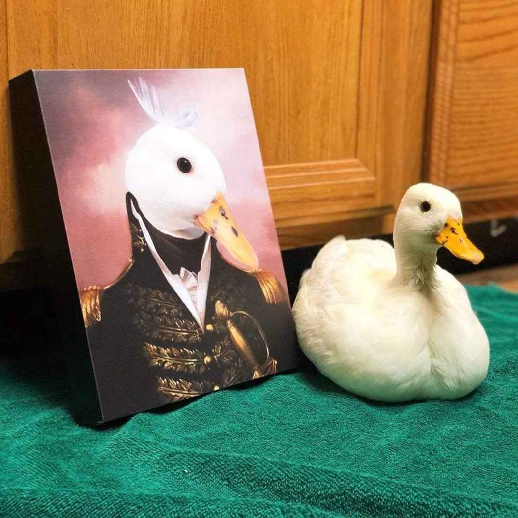 The General - Custom Pet Canvas - CustomLove