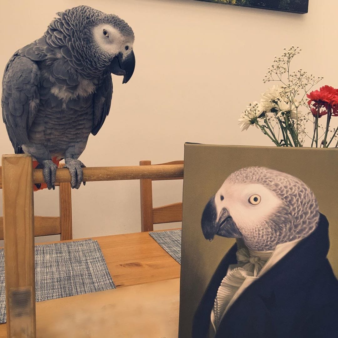 The Ambassador - Custom Pet Canvas-CustomLove