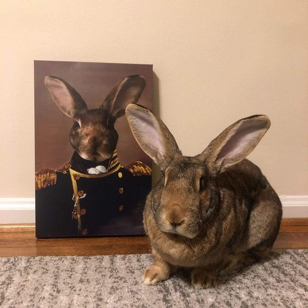 The Admiral - Custom Pet Canvas-CustomLove