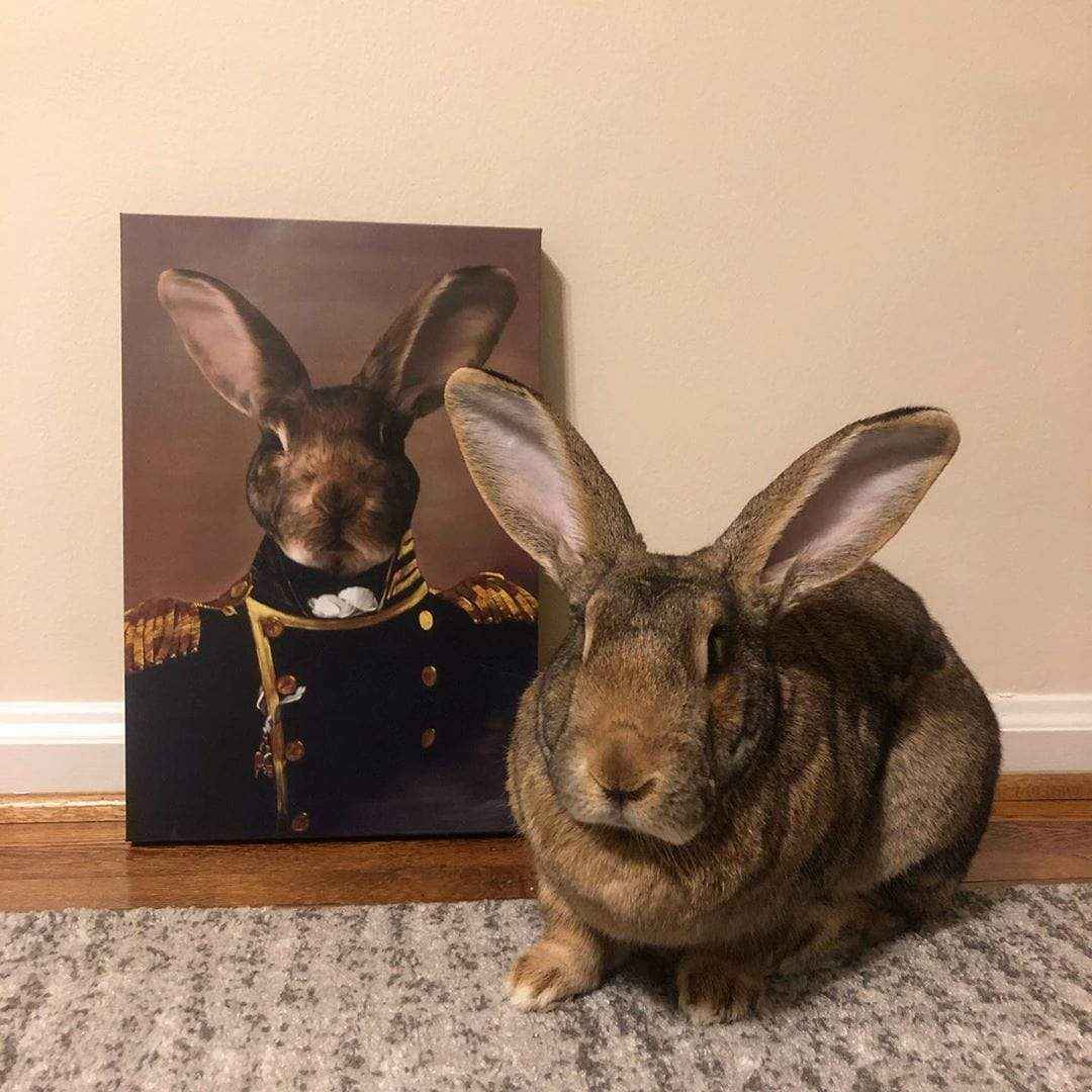 The Admiral - Custom Pet Canvas - CustomLove