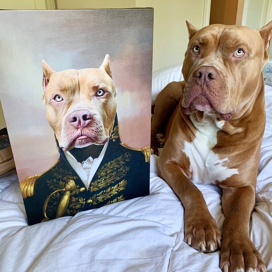 The General - Custom Pet Canvas-CustomLove