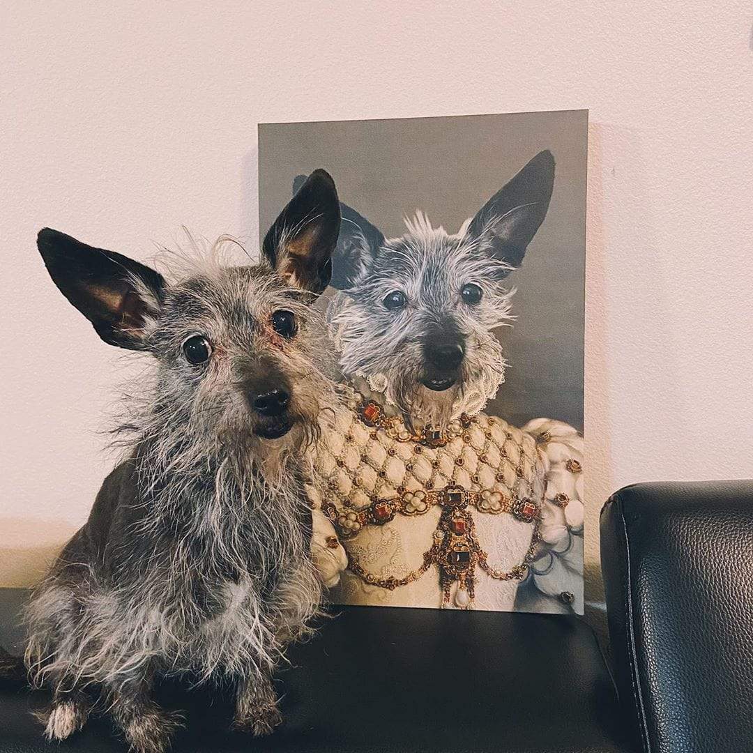 The Princess - Custom Pet Canvas-CustomLove