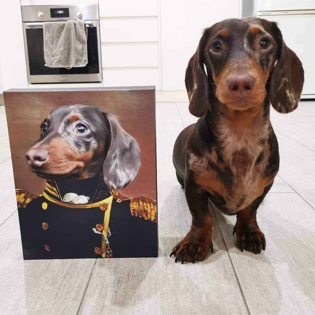 The Admiral - Custom Pet Canvas - CustomLove
