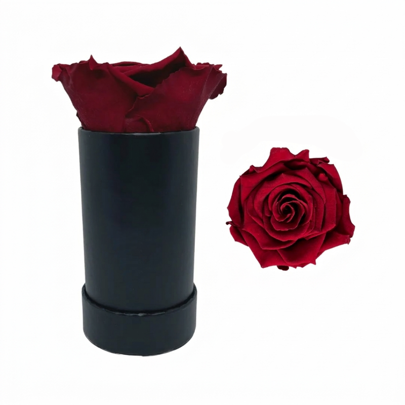 Single Rose Black Box with Infinity Rose Gift Set