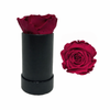 Single Rose Black Box with Infinity Rose Gift Set