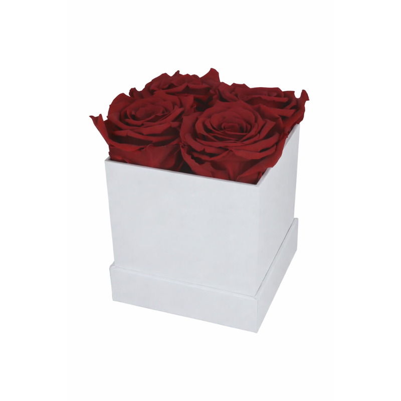 4 Rose White Box with Infinity Roses Luxury Gift