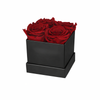 4 Rose Black Box with Infinity Roses Luxury Gift