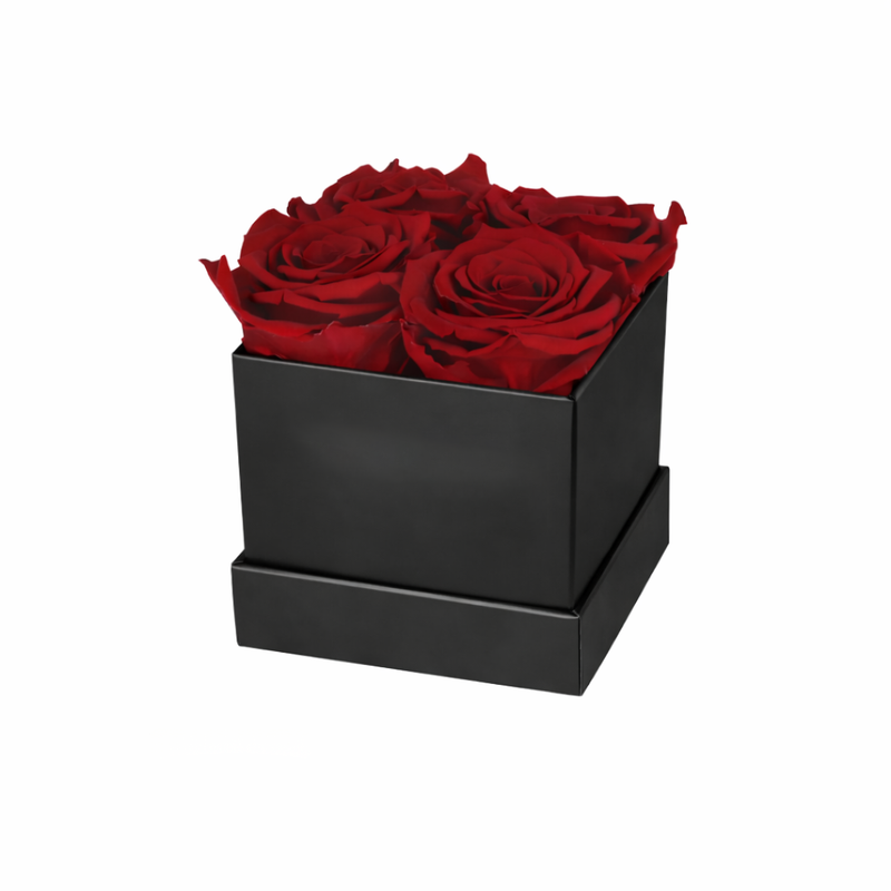 4 Rose Black Box with Infinity Roses Luxury Gift