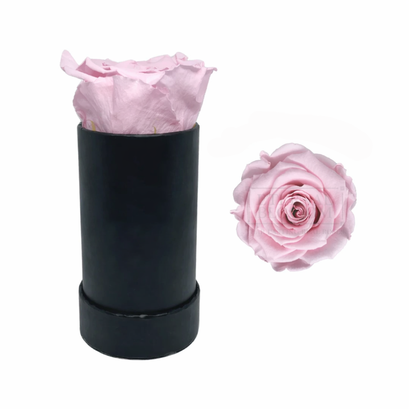 Single Rose Black Box with Infinity Rose Gift Set