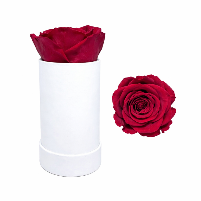 Single White Rose Box with Infinity Rose Gift