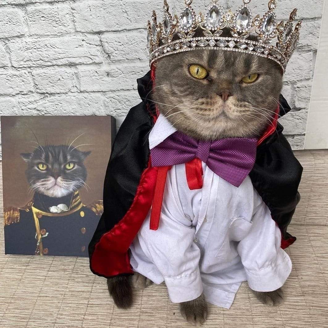 The Admiral - Custom Pet Canvas