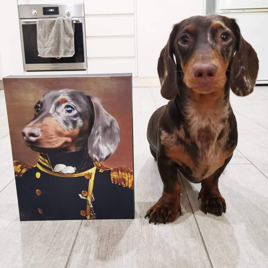 The Admiral - Custom Pet Canvas