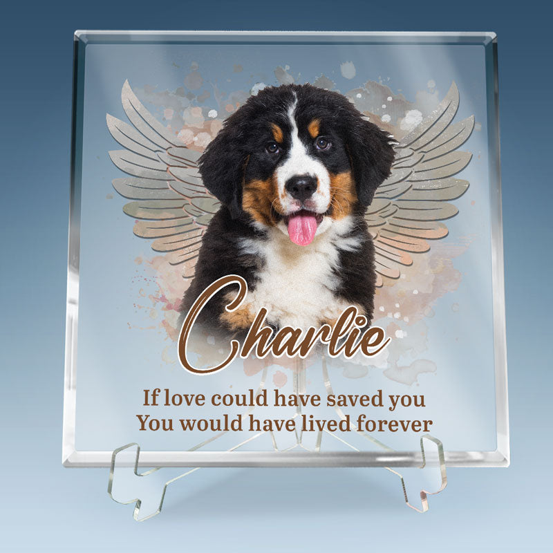 Memorial Personalized Acrylic Plaque - Pets Teach Us The Purest Kind Of Love